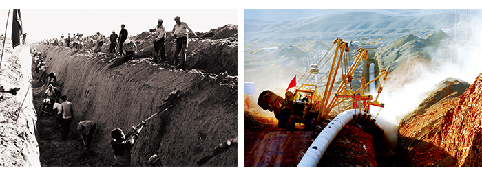 1626078360818131.jpg 1.jpg