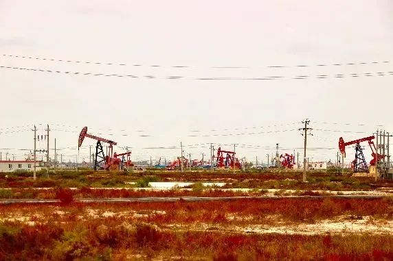 1667181518182197.jpg 1667181518182197.jpg