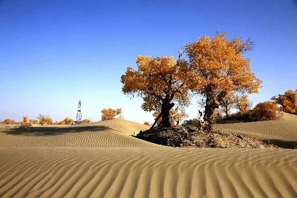 1667182145111276.jpg 1667182145111276.jpg