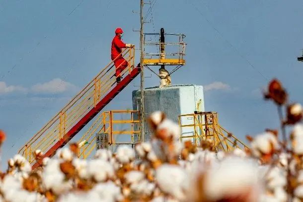 1667182284370013.jpg 1667182284370013.jpg