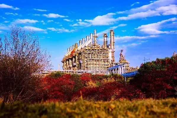 1667183175410465.jpg 1667183175410465.jpg