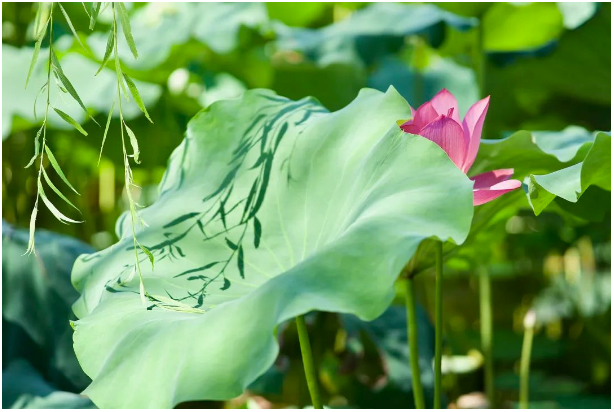 1687654192231358.png 1687654192231358.png