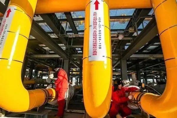 1703123003676911.jpg 1703123003676911.jpg