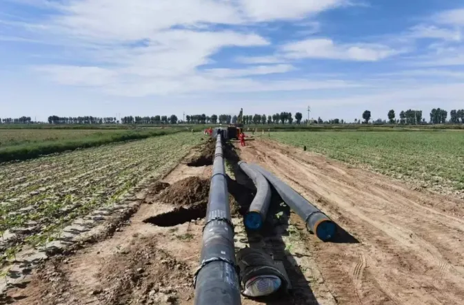 1729147731895390.png 1729147731895390.png